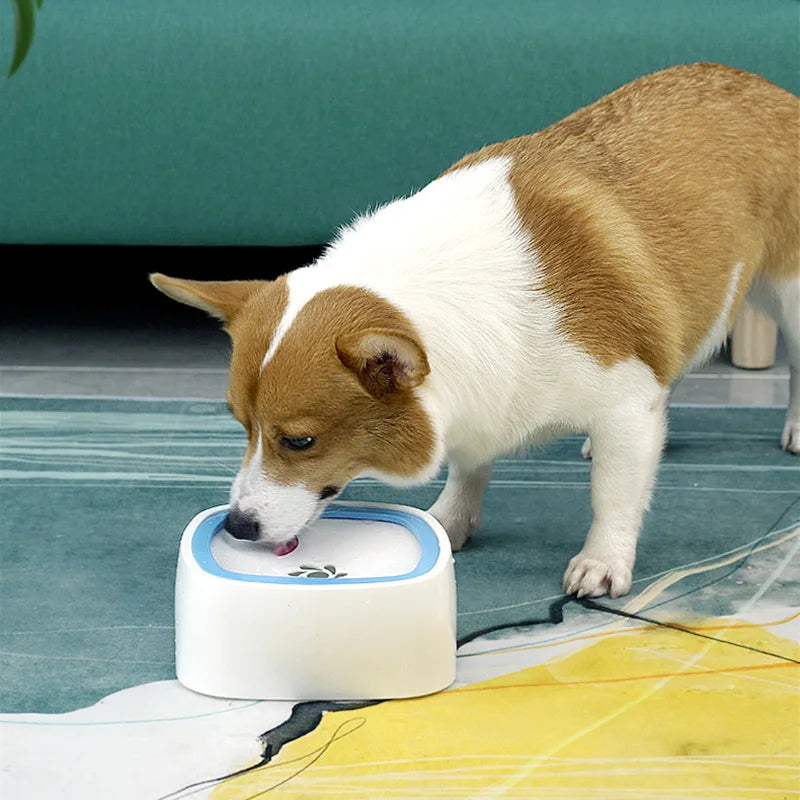 SpillGuard™ Pet Hydration Bowl