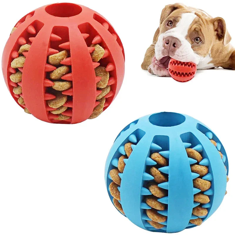 ChewChamp™ Elastic Dog Ball