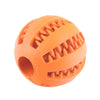 ChewChamp™ Elastic Dog Ball