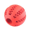 ChewChamp™ Elastic Dog Ball