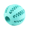 ChewChamp™ Elastic Dog Ball