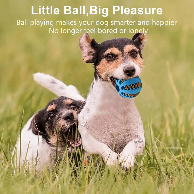 ChewChamp™ Elastic Dog Ball